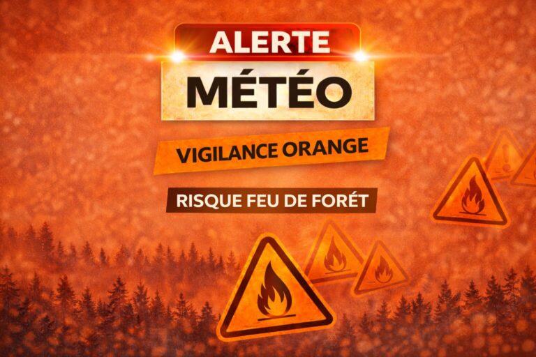 ALERTE ORANGE – Risque feux de forêt & Vague de chaleur dans le Maine-et-Loire