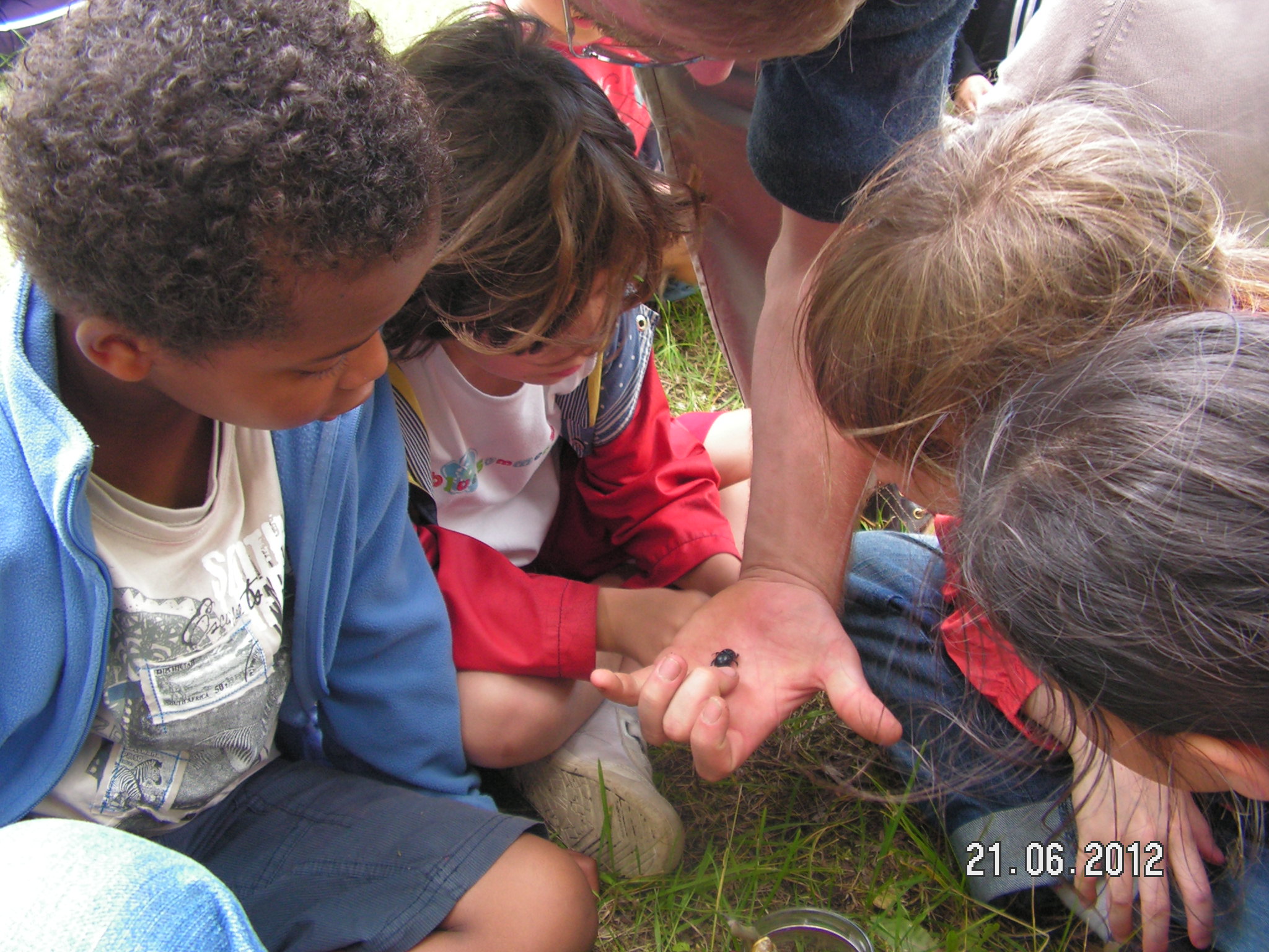Atelier "Petites Bêtes"