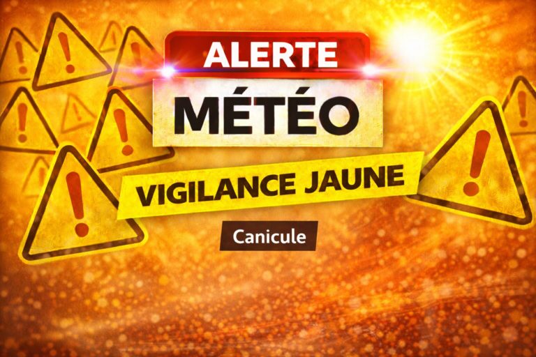 Canicule : qui sont les plus vulnérables face aux fortes chaleurs ?