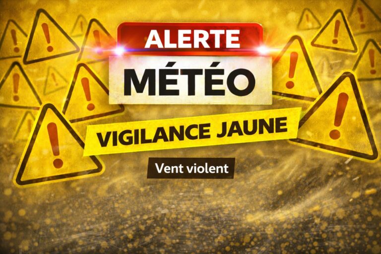 Vigilance jaune vent en Maine-et-Loire : des rafales attendues demain