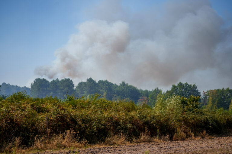 Incendie au Guédeniau : 55 hectares parcourus, deux pompiers blessés et 44 largages dans la journée de mardi