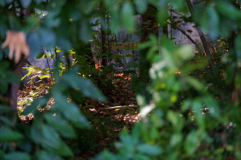 Incendies à Baugé-en-Anjou : plusieurs départs de feu recensés en quelques jours, l’inquiétude grandit