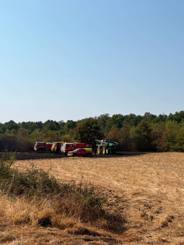 Incendie chemin de Rigné à Baugé-en-Anjou : le feu est maîtrisé, six hectares brûlés